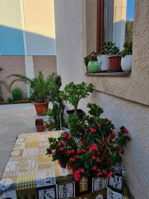 Квартира 1-комнатная Квартира — Сириус