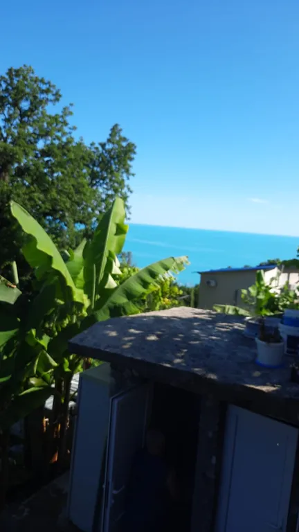 Квартира Комната — Лазаревское