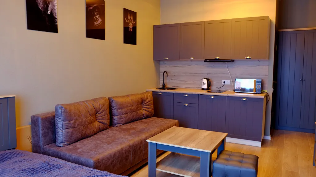 Квартира Студия у метро — аренда посуточно в Котельники