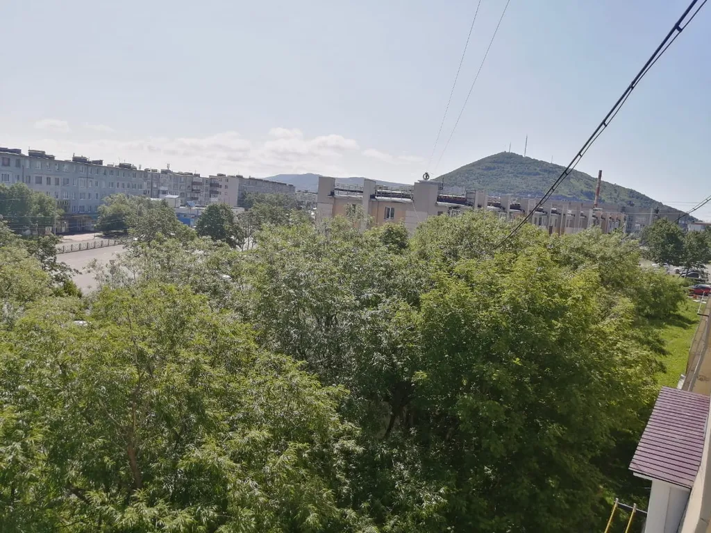 Квартира с видом на домашние вулканы