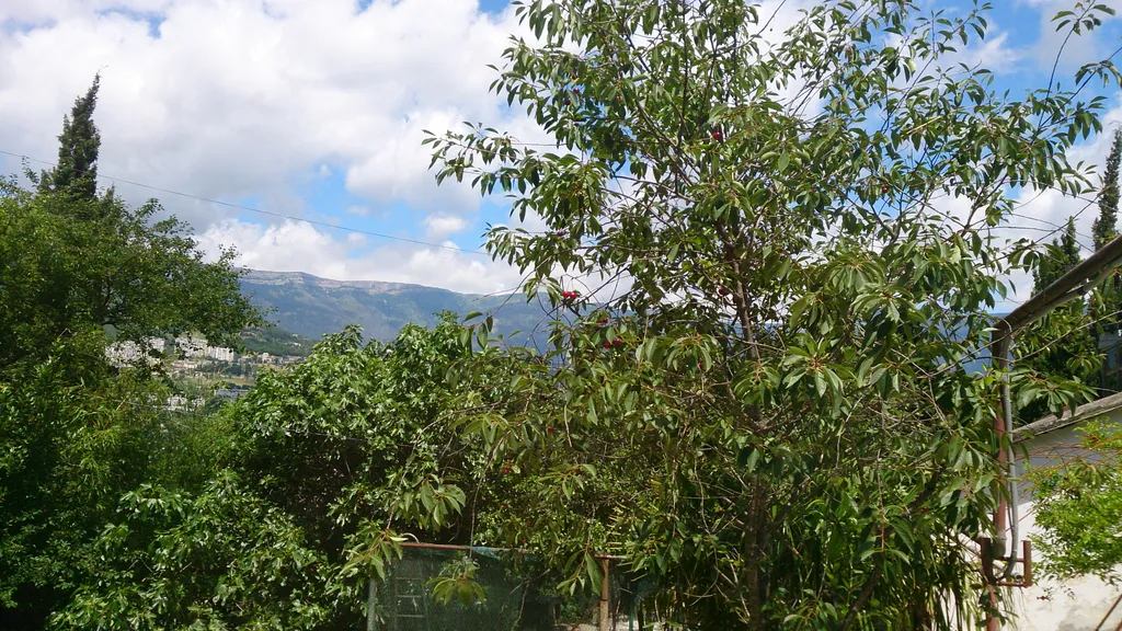 Дом на Достоевского