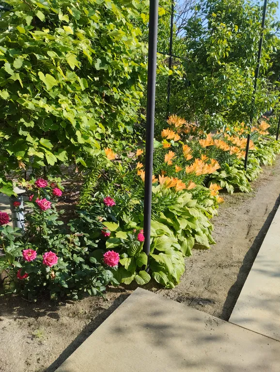 Уютная комната рядом с морем