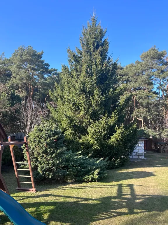 Дом у моря для большой компании