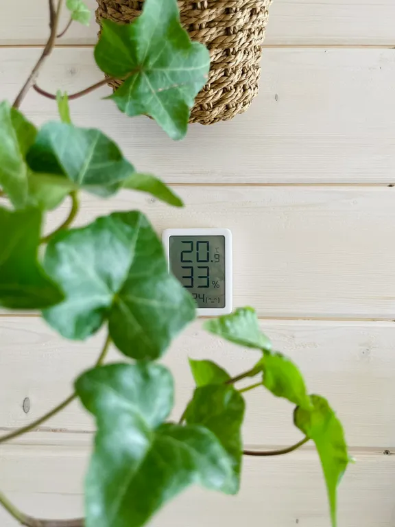 Треугольный дом