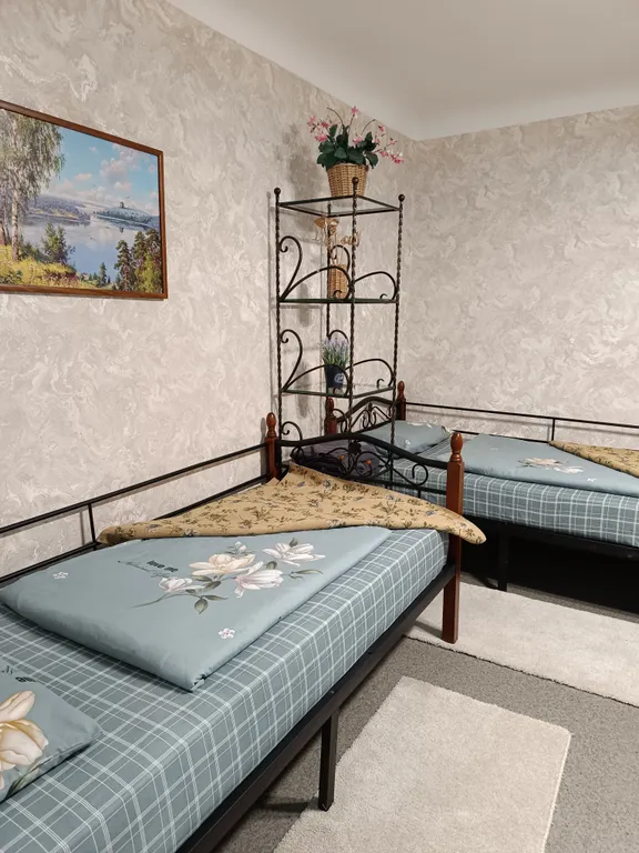 Квартира в купеческом доме на шишкинских прудах