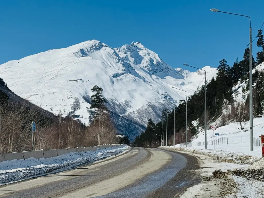 Дом с видом на лес