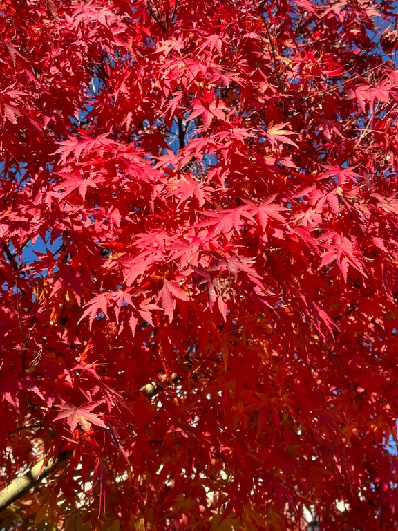 Квартира Квартира Комфортная студия — Сириус