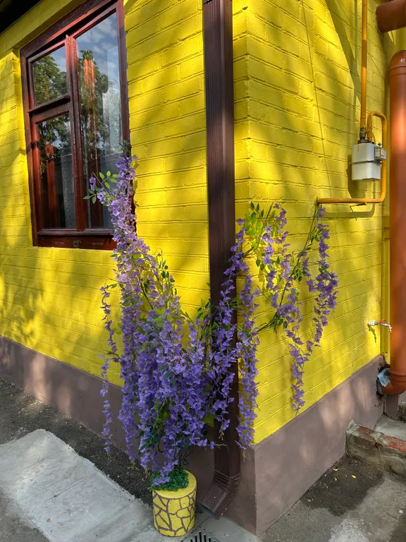 Квартира на центральной улице