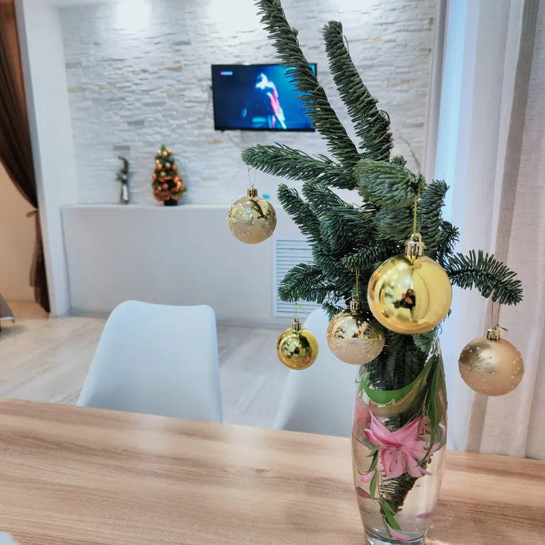 Квартира в центре города с видом на озеро