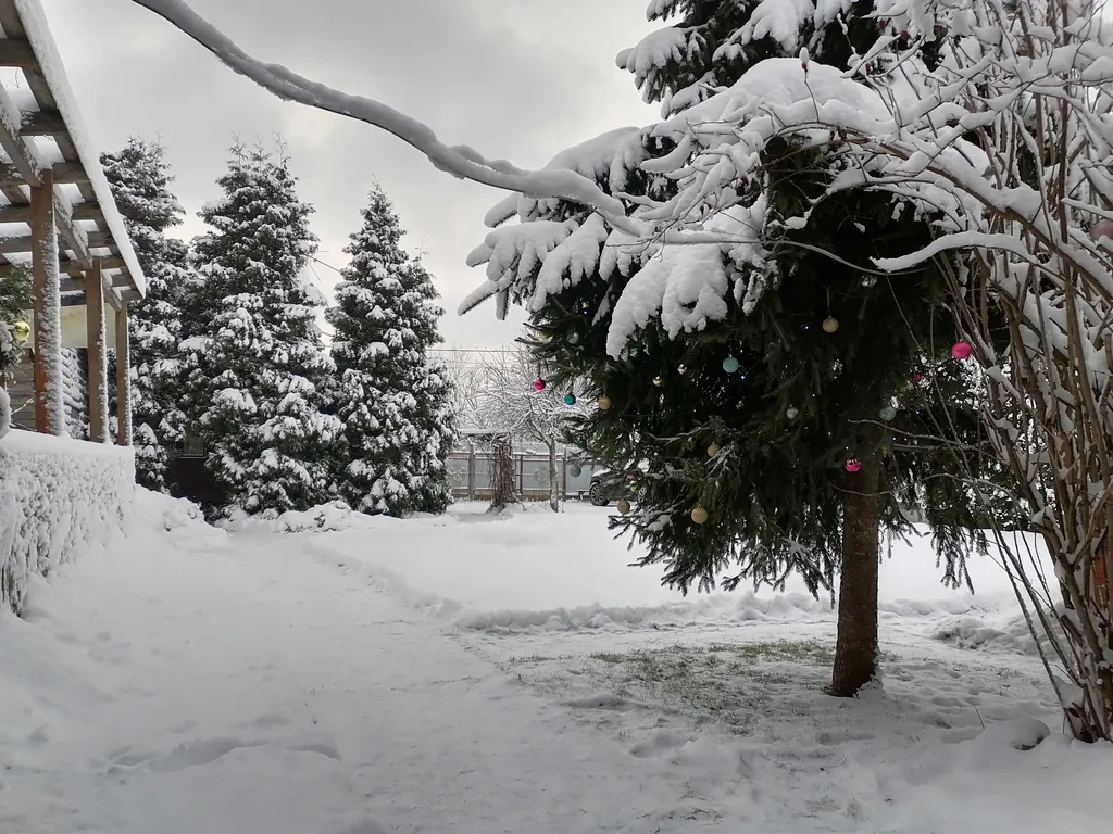 Дом 2 этажа, баня на дровах