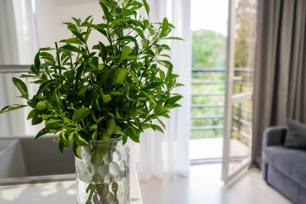 Апартаменты с видом на горы и бамбуковую рощу