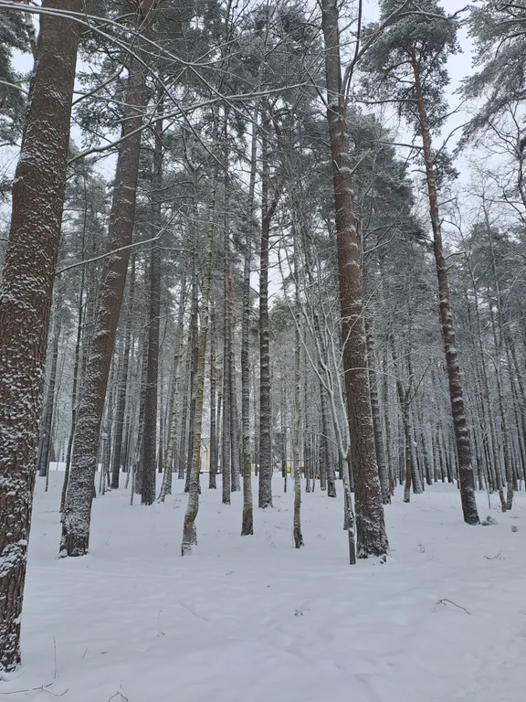 Уютный гостевой дом у залива