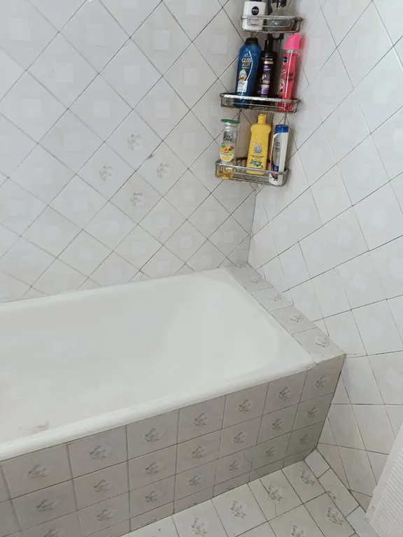 Частный дом с крытым двором и садом