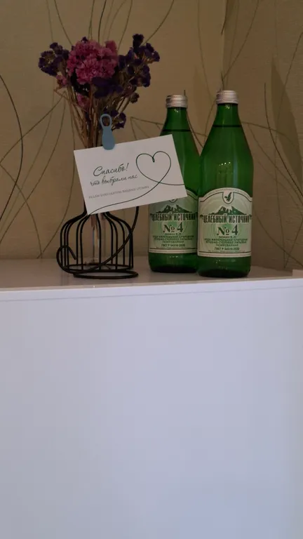 Квартира" Как дома "в центре города