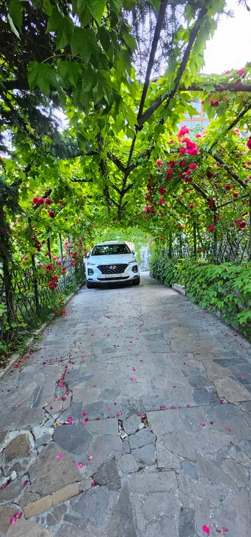 Солнце Ялты