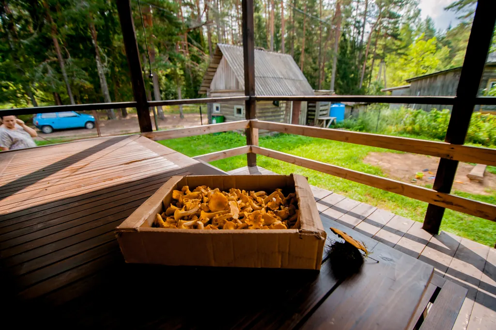 Гостевой дом Сосны в Смоленском Поозерье