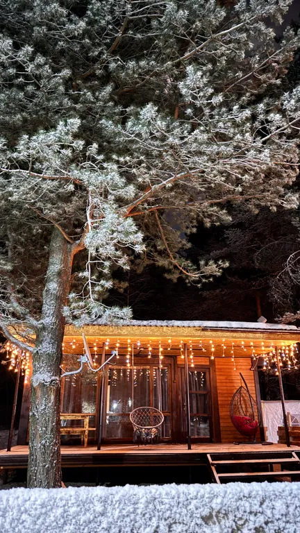 Домик в лесу