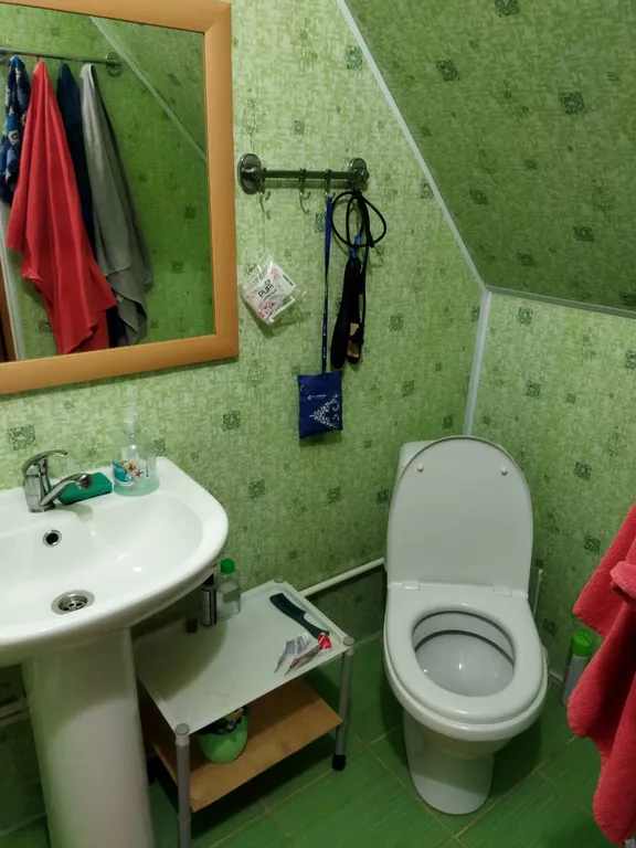 Благоустроенный дом на берегу реки Ахтуба