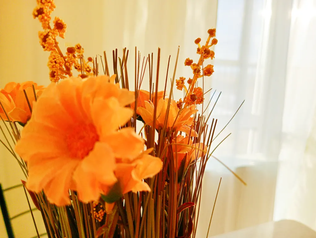 Клубный загород ЖК Мы