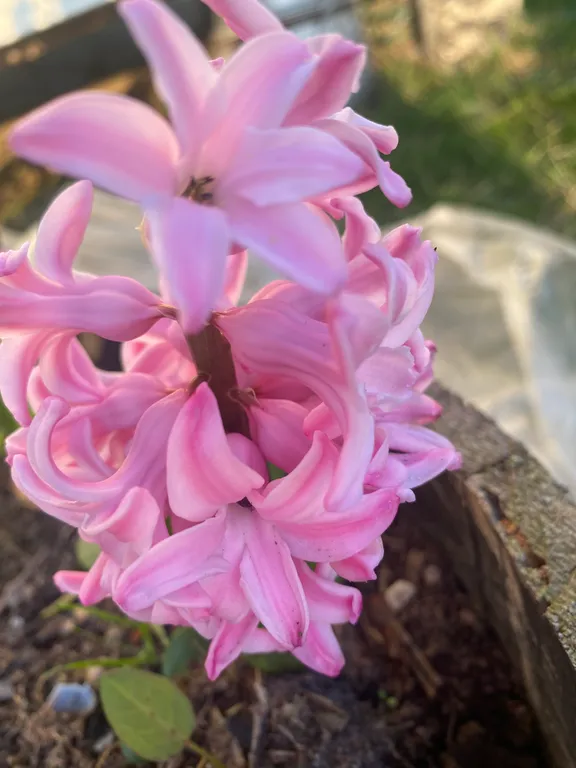 Тихое место для спокойного отдыха у моря