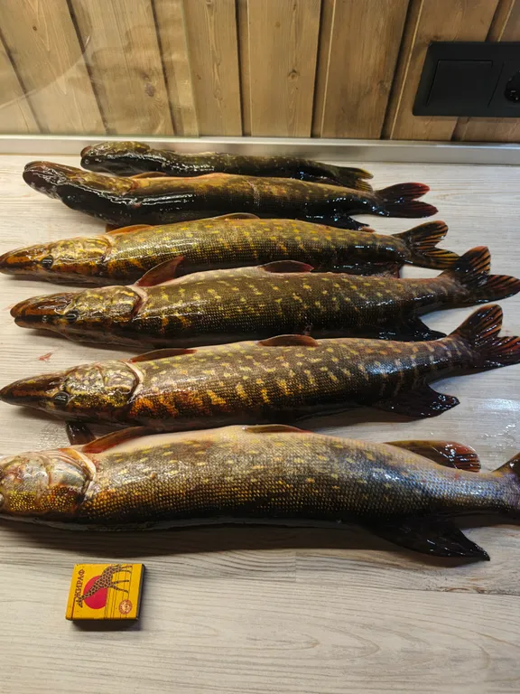 Коттедж Коттедж на берегу реки — Хотнежа