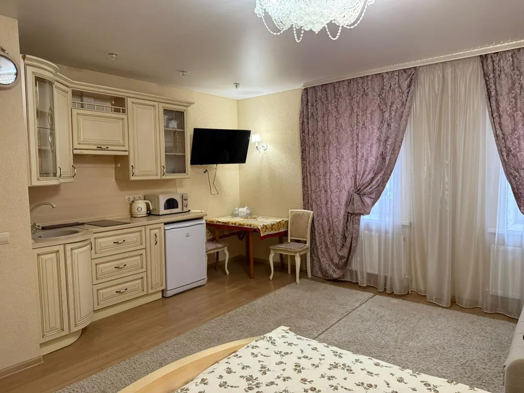 Однокомнатные апартаменты студия делюкс в центре у Торговых рядов