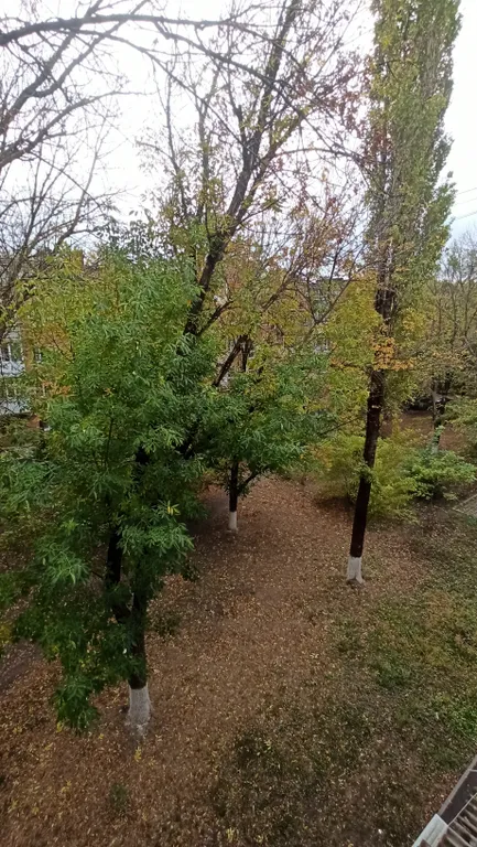 Квартира Уютная квартира в центре города — Таганрог