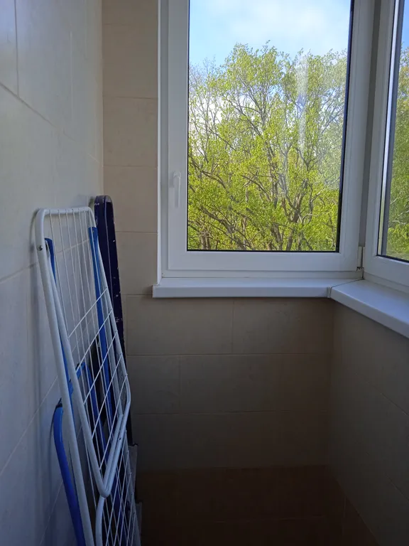 Квартира Квартира В гости к Эмме — Светлогорск