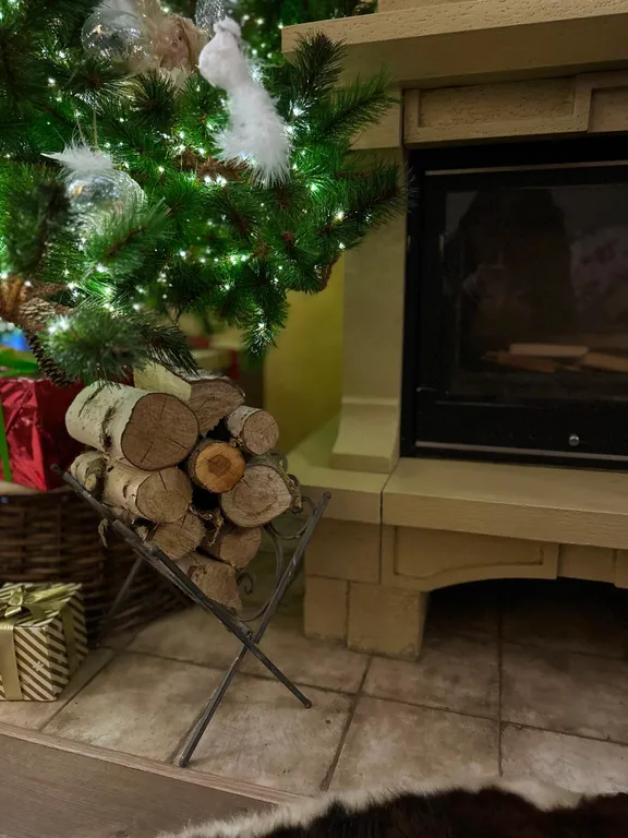 Гостевой фотодом Зазеркалье