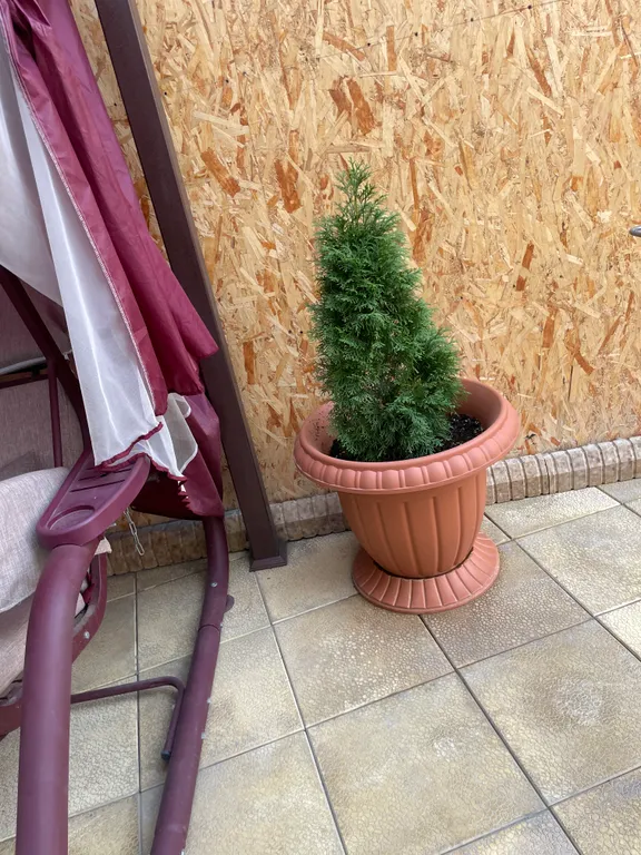 Коттедж Уютный домик в центре города — Махачкала