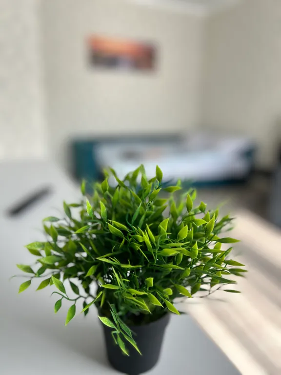 Квартира Квартира Дивный отдых — Калининград