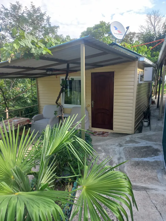 Буревестник