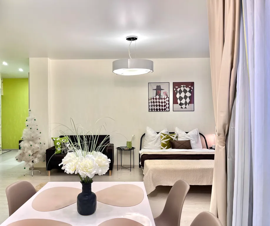 Просторная студия в центре города