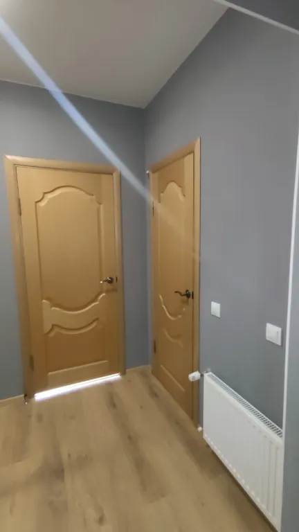 Квартира 1-комнатная Квартира — Светлогорск