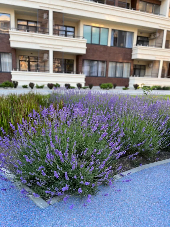 Апартаменты у моря atlas apart-hotel &spa