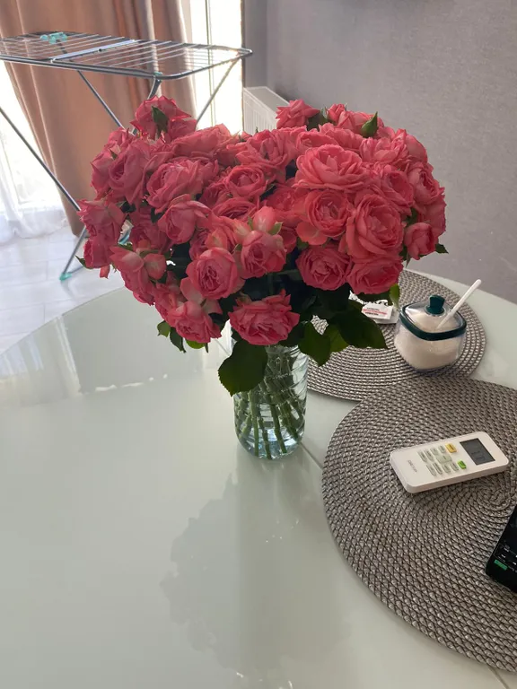 Евродвушка с видом на море