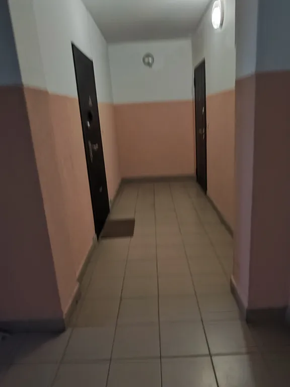 Квартира Уютная, светлая квартира — Калининград