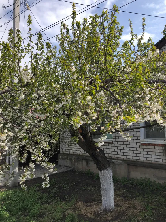 Квартира Комната в уютном частном доме рядом с Мамаевым Курганом — Волгоград