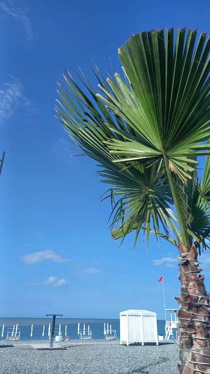 Уютная квартира у берега моря