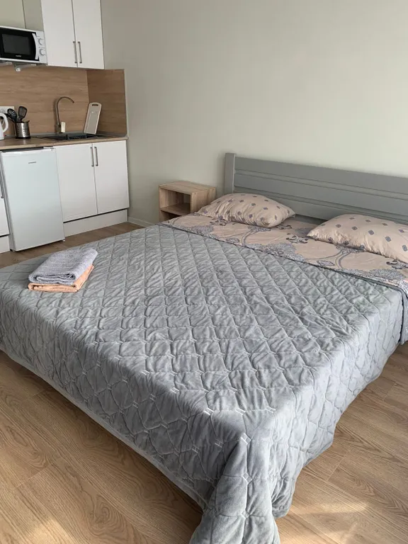 Уютная студия в Зеленограде