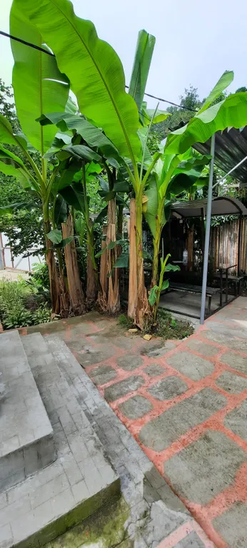 Коттедж Ямайка на Мамайке — аренда посуточно в Сочи