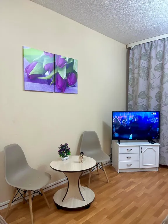 1-комнатная на Оптимистов