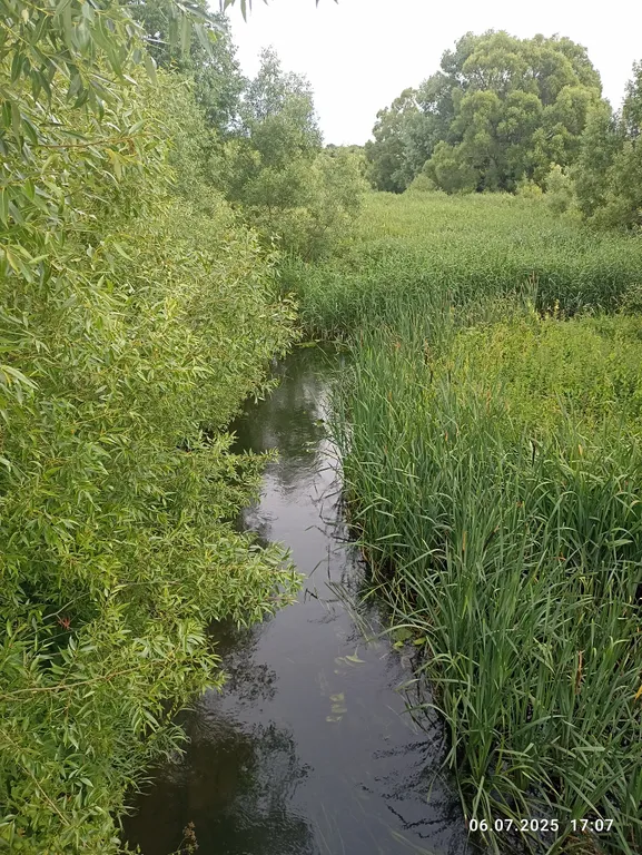 Просторный и уютный дом