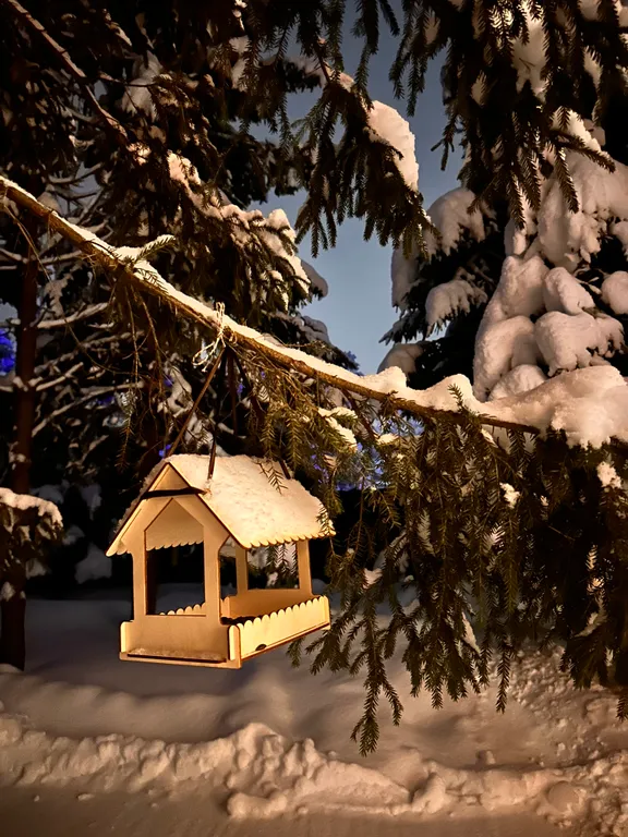 Коттедж Уютный домик — Вартемяги