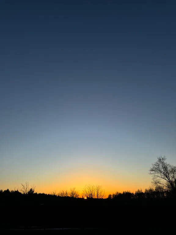 Дом с видом на лес