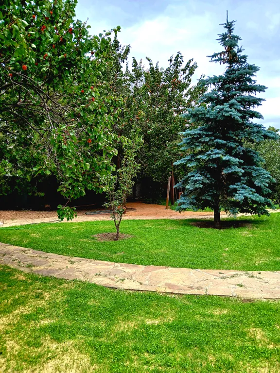 Теремок пятиизбянский