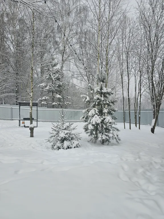 Уютный дом Лесная Быль