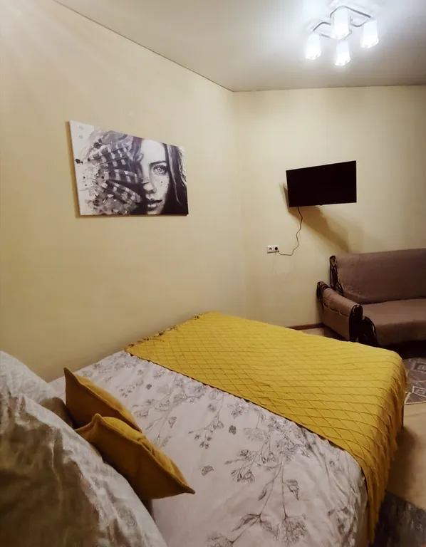 Однокомнатная квартира в Жуковском на Нижегородской