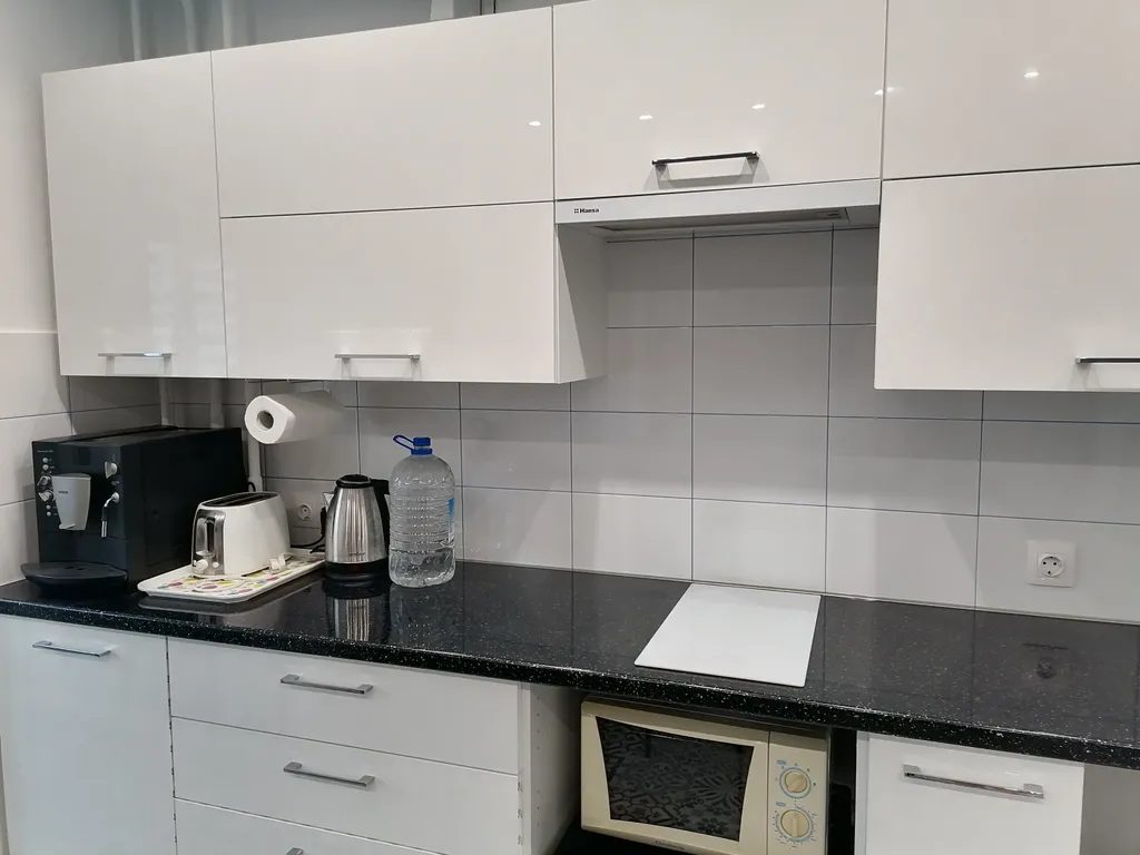 Апартамент с видом на храм Александра Невского