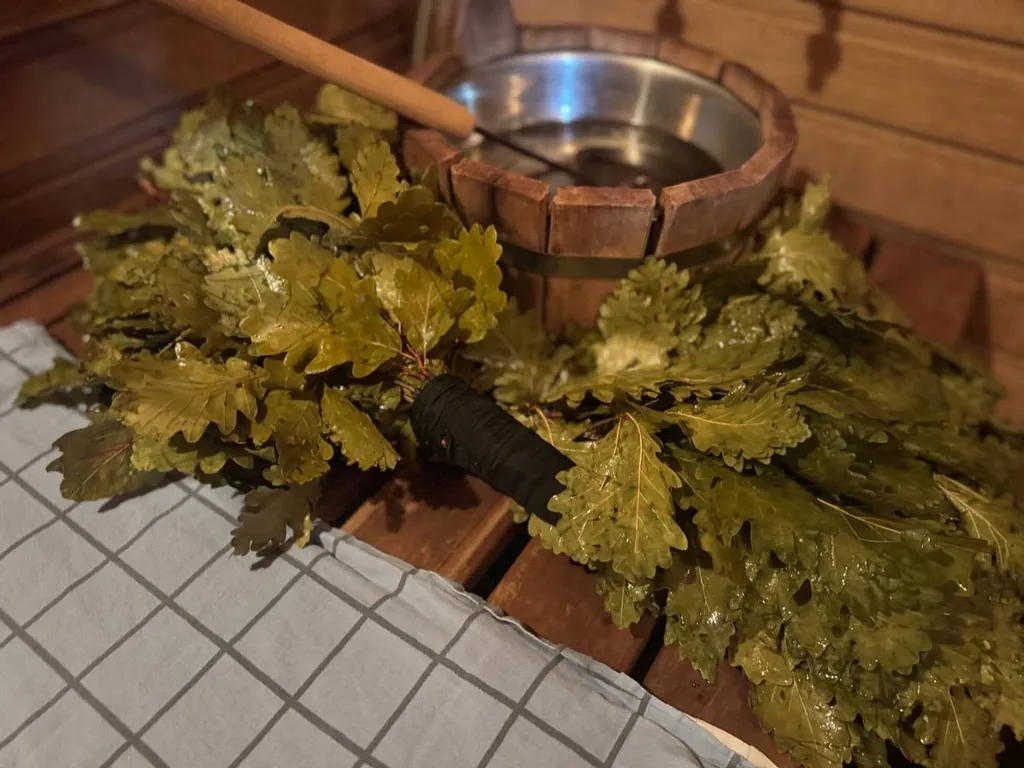 Дом с баней и банным чаном